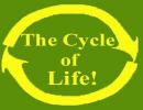 Ο Κύκλος Της Ζωής