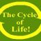 Ο Κύκλος Της Ζωής